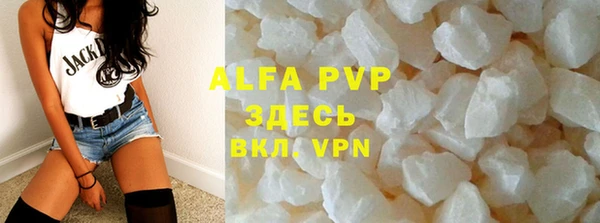 стафф Богданович