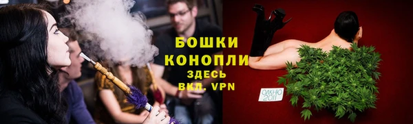стафф Богданович