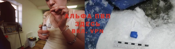 стафф Богданович