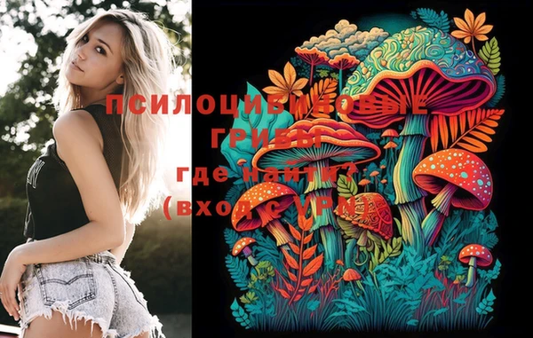 стафф Богданович