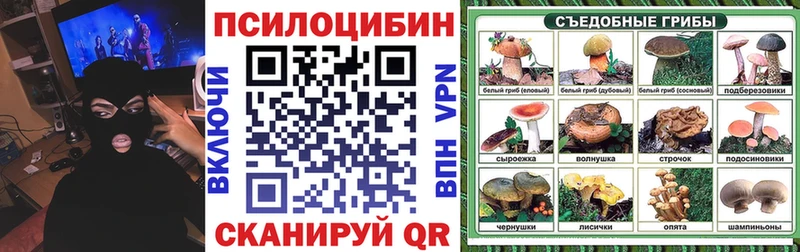 Галлюциногенные грибы GOLDEN TEACHER  даркнет сайт  Дзержинский 